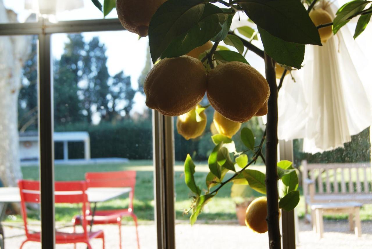 Bed and Breakfast La Ferme De Gigognan Avignon Exterior foto